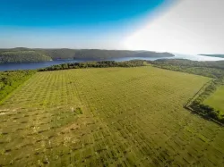 Aerial-view-of-Ursaria-olive-groves